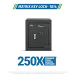 Godrej Matrix 1814-12 V4 KL chgrey